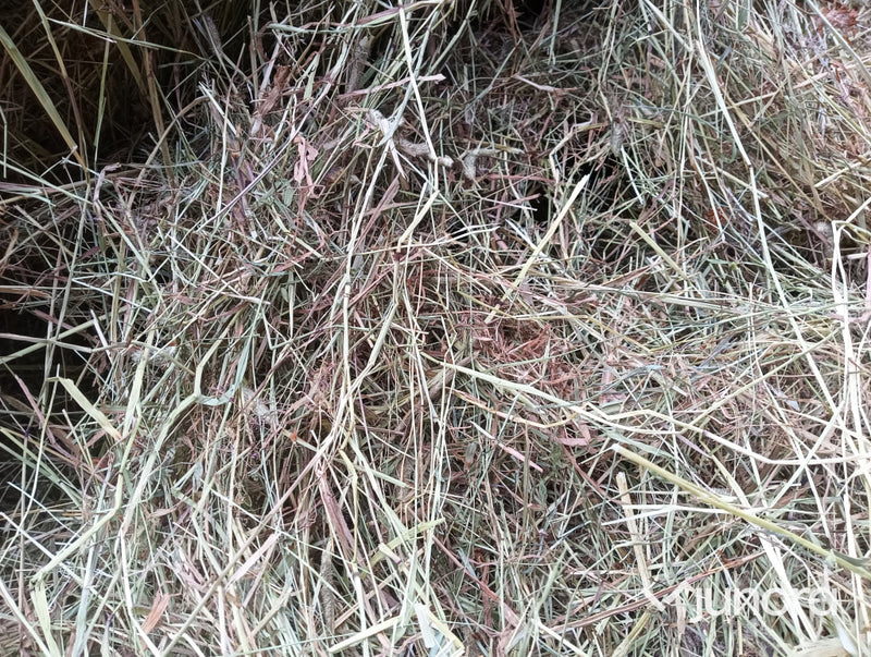 Hö/Hösilage - 10 st, plastad rundbal 120cm