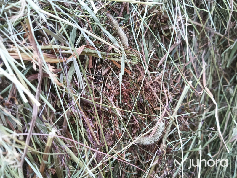 Hö/Hösilage - 10 st, plastad rundbal 120cm