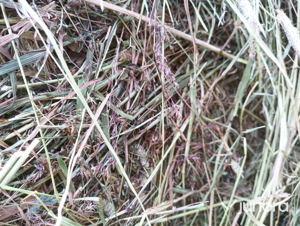 Hö/Hösilage - 10 st, plastad rundbal 120cm