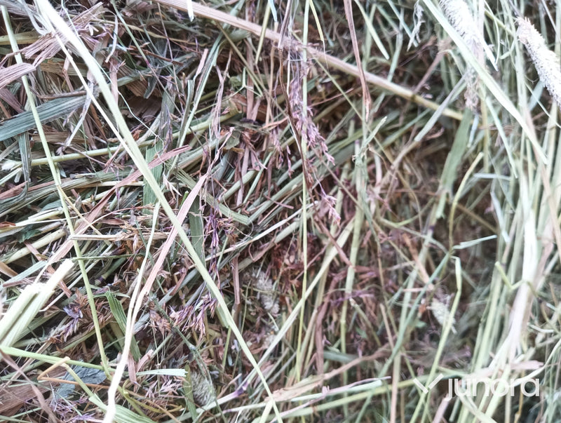 Hö/Hösilage - 10 st, plastad rundbal 120cm