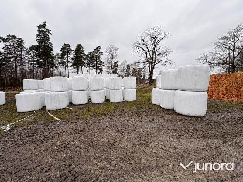 Hö – 40 st, ca 350 kg/st