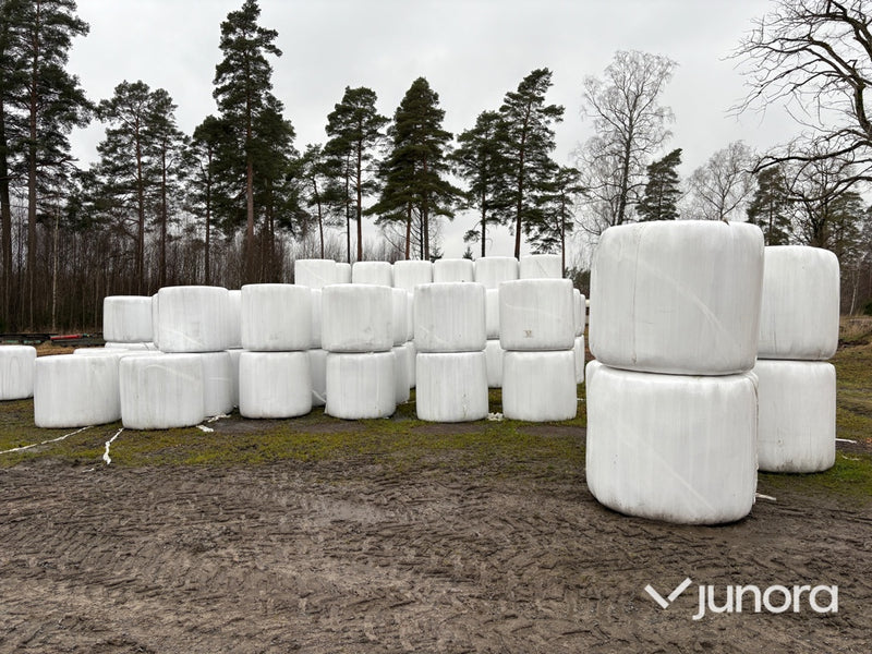 Hö – 40 st, ca 350 kg/st