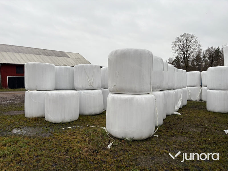 Hö – 40 st, ca 350 kg/st