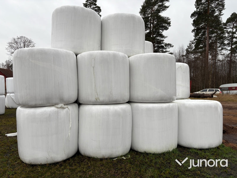 Hö – 40 st, ca 350 kg/st