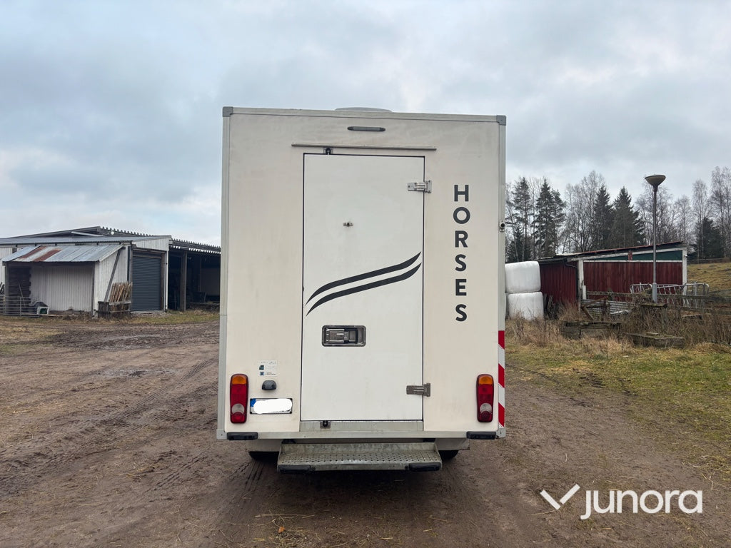 Hästlastbil - Renault Master