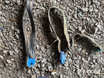 Aktivitetsmätare och transpondrar med halsband till djuren