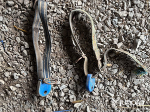 Aktivitetsmätare och transpondrar med halsband till djuren