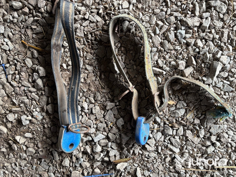 Aktivitetsmätare och transpondrar med halsband till djuren