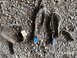 Aktivitetsmätare och transpondrar med halsband till djuren