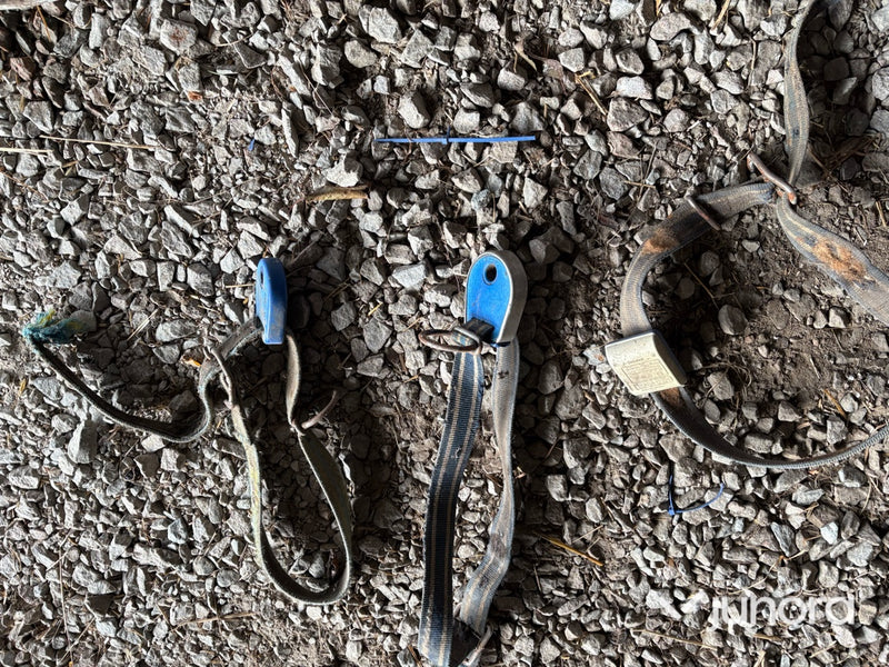 Aktivitetsmätare och transpondrar med halsband till djuren