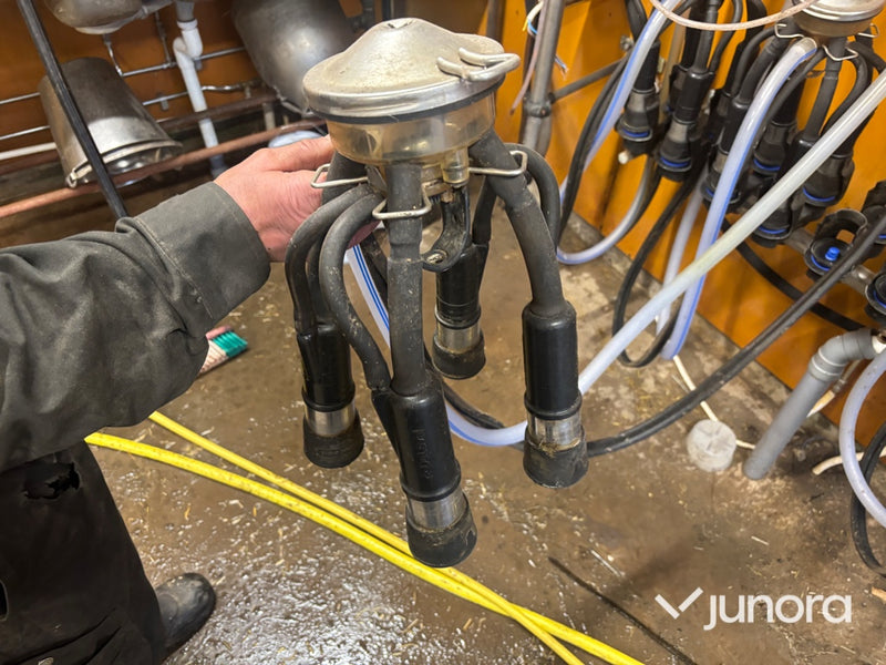 Mjölkutrustning - DeLaval