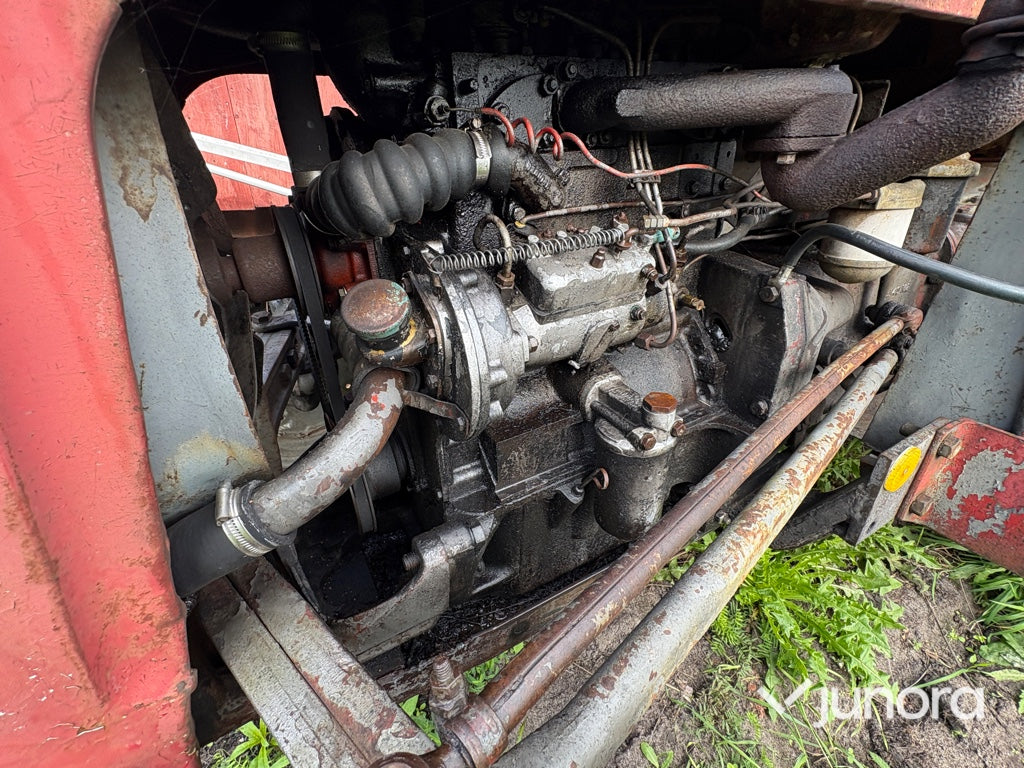 Massey Ferguson 35 Stand – 1960 årsmodell, klassisk dieseltraktor