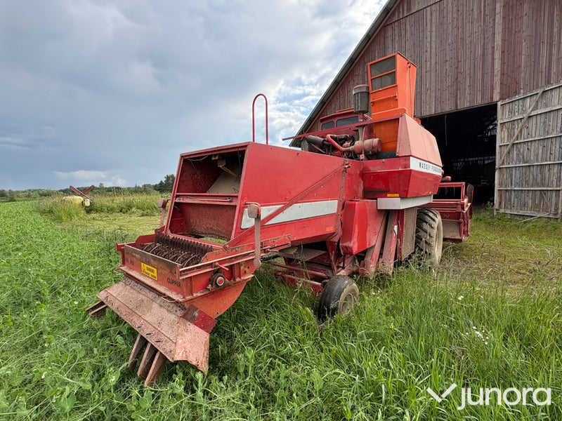 Skördetröska Massey Ferguson 307