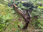 Vedklyv/Vedkap