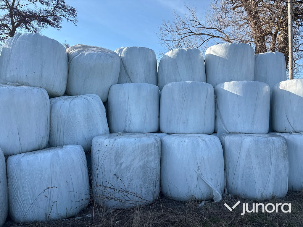 Ensilagebalar - 62st