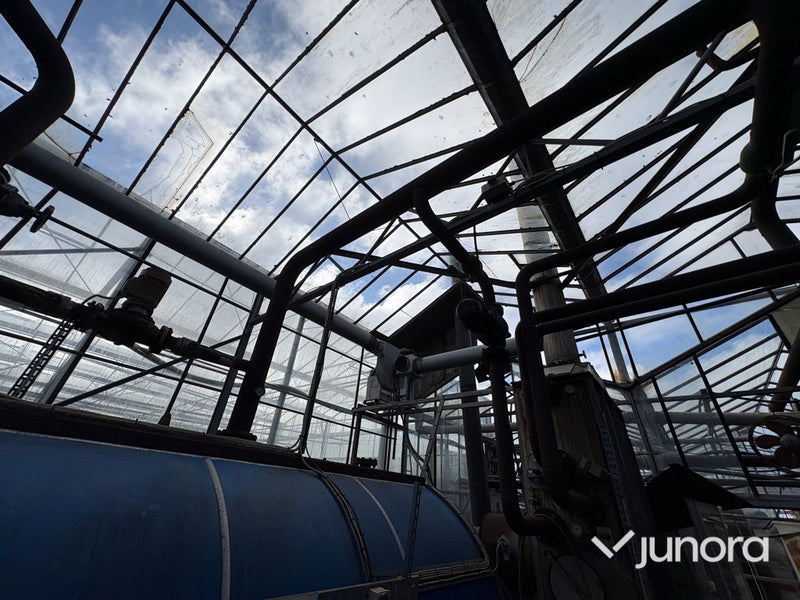 Industripanna - Danstoker, Weishaupt gasbrännare