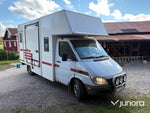 Hästtransport Mercedes-Benz 316 CDI
