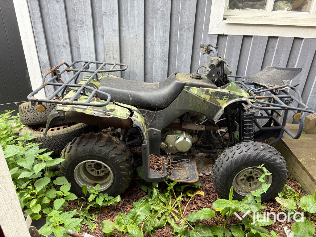 Fyrhjuling - Loncin, Desert Storm 250