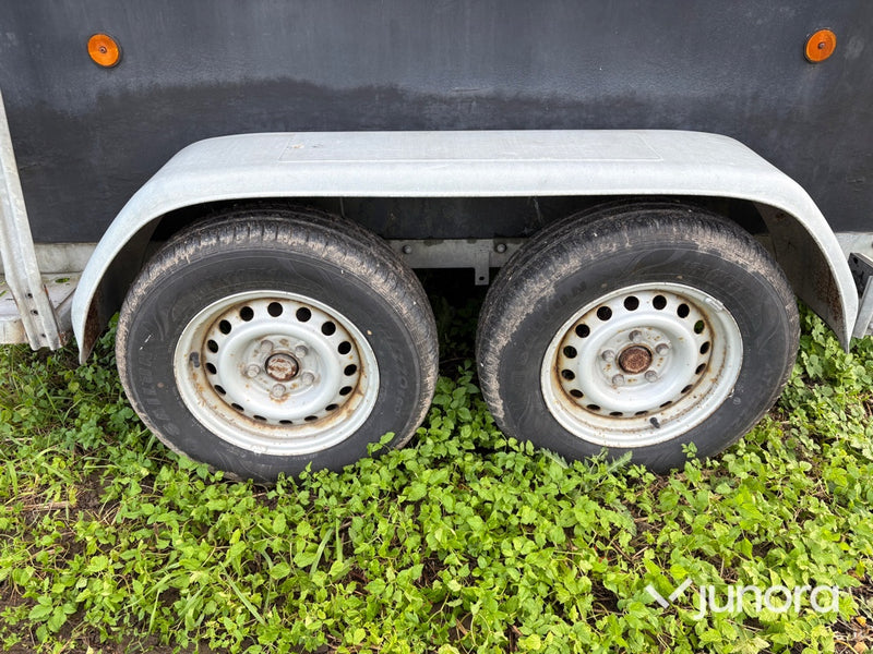 Hästtransport - Sluis, PTS