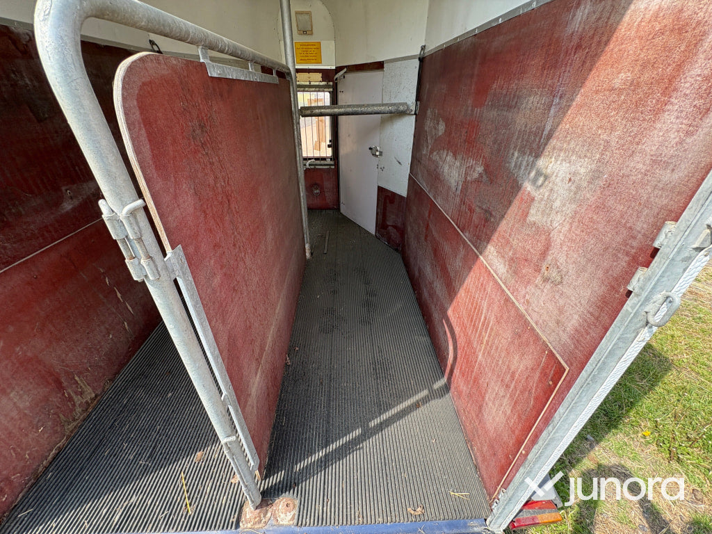 Hästtransport Umeå Släpet B4 Brunte Lyx