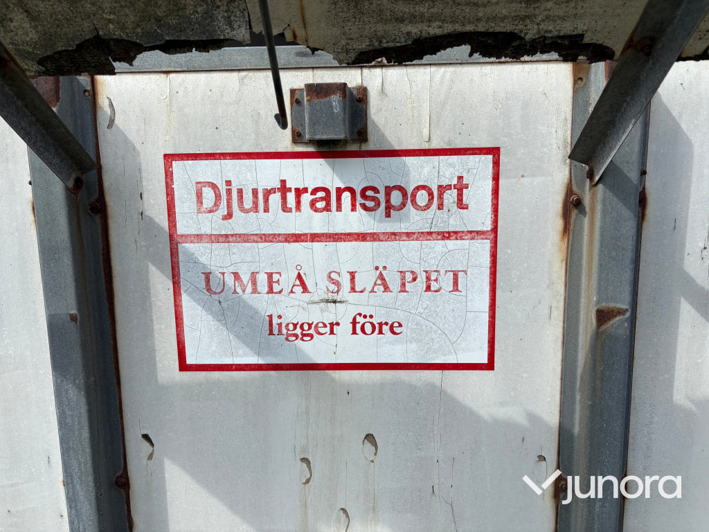 Hästtransport Umeå Släpet B4 Brunte Lyx