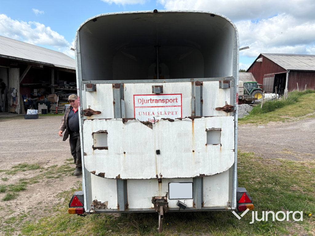 Hästtransport Umeå Släpet B4 Brunte Lyx