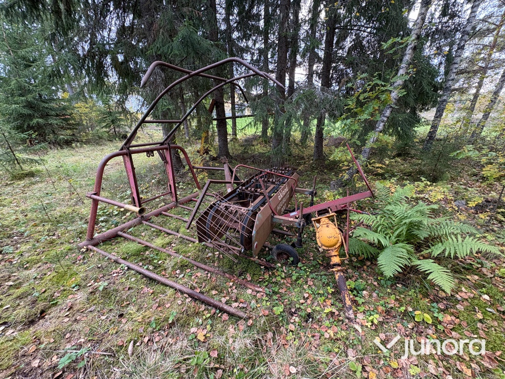 Jordborr - Strängläggare - Hösvans