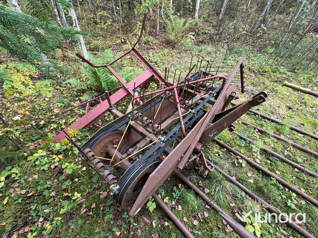 Jordborr - Strängläggare - Hösvans