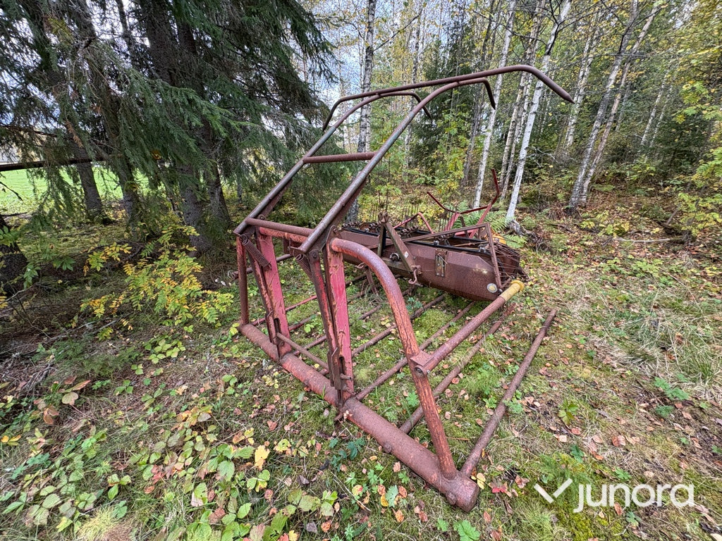 Jordborr - Strängläggare - Hösvans