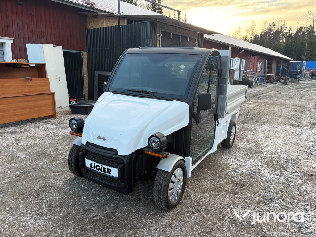 Lätt lastbil - Ligier, Professional Pulse 4