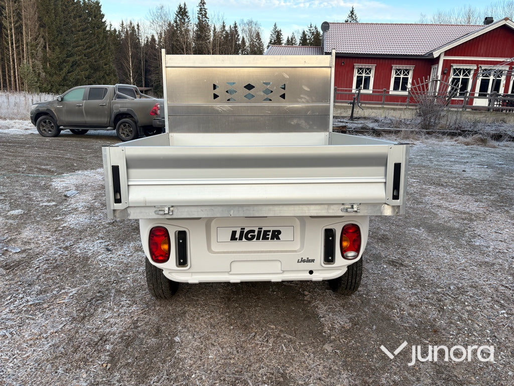 Lätt lastbil - Ligier, Professional Pulse 4