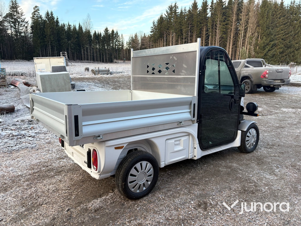 Lätt lastbil - Ligier, Professional Pulse 4