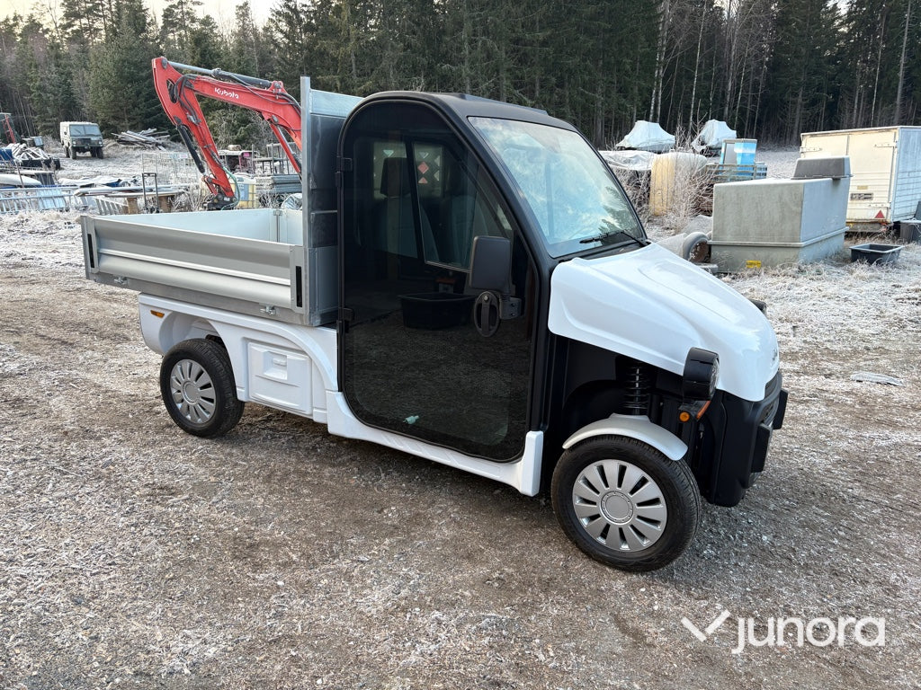 Lätt lastbil - Ligier, Professional Pulse 4