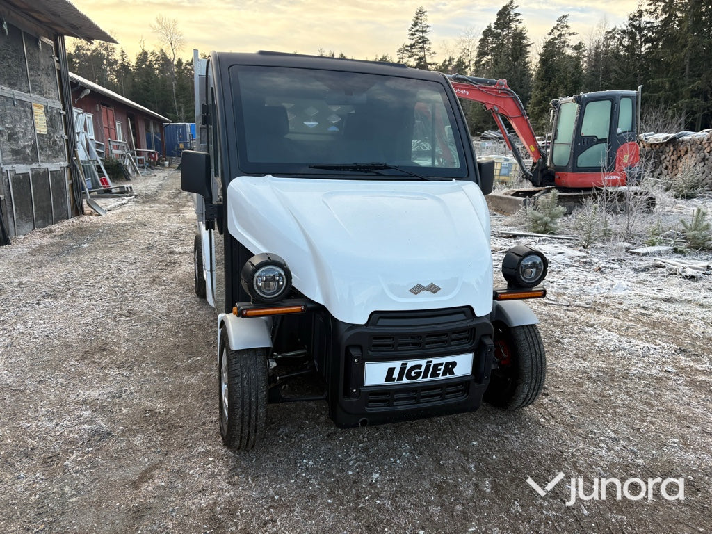 Lätt lastbil - Ligier, Professional Pulse 4