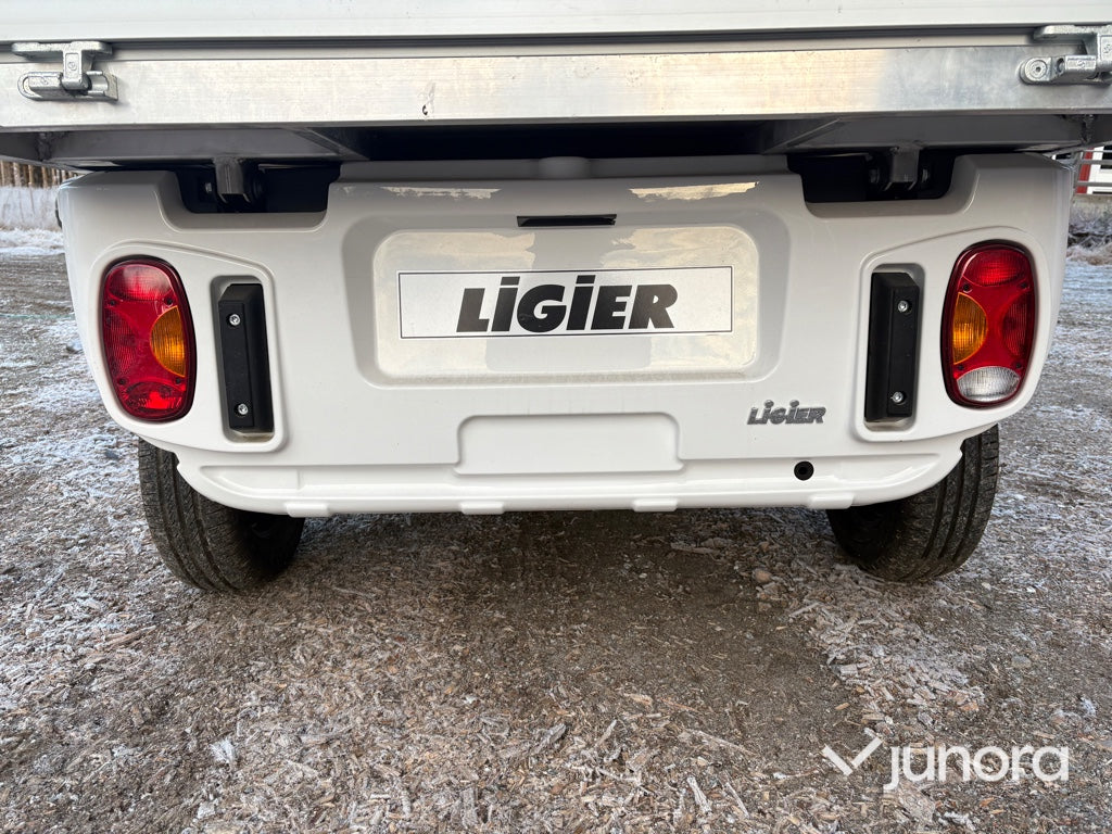 Lätt lastbil - Ligier, Professional Pulse 4