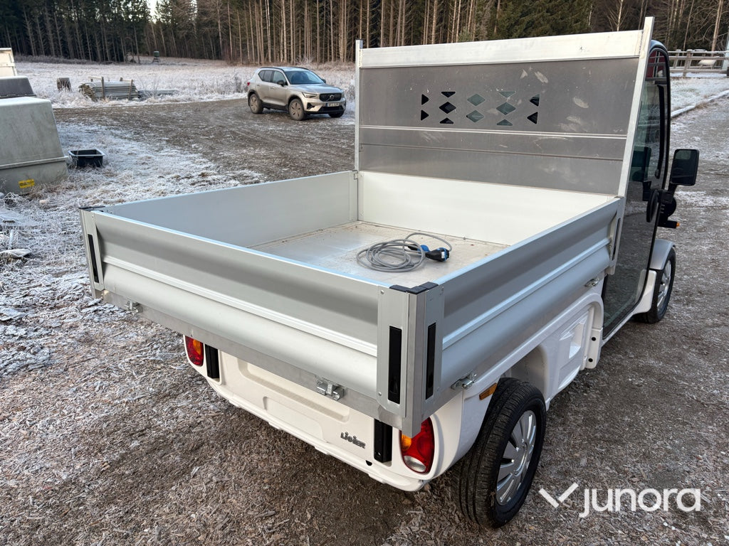 Lätt lastbil - Ligier, Professional Pulse 4