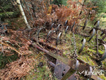 Fjäderharv