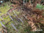 Fjäderharv
