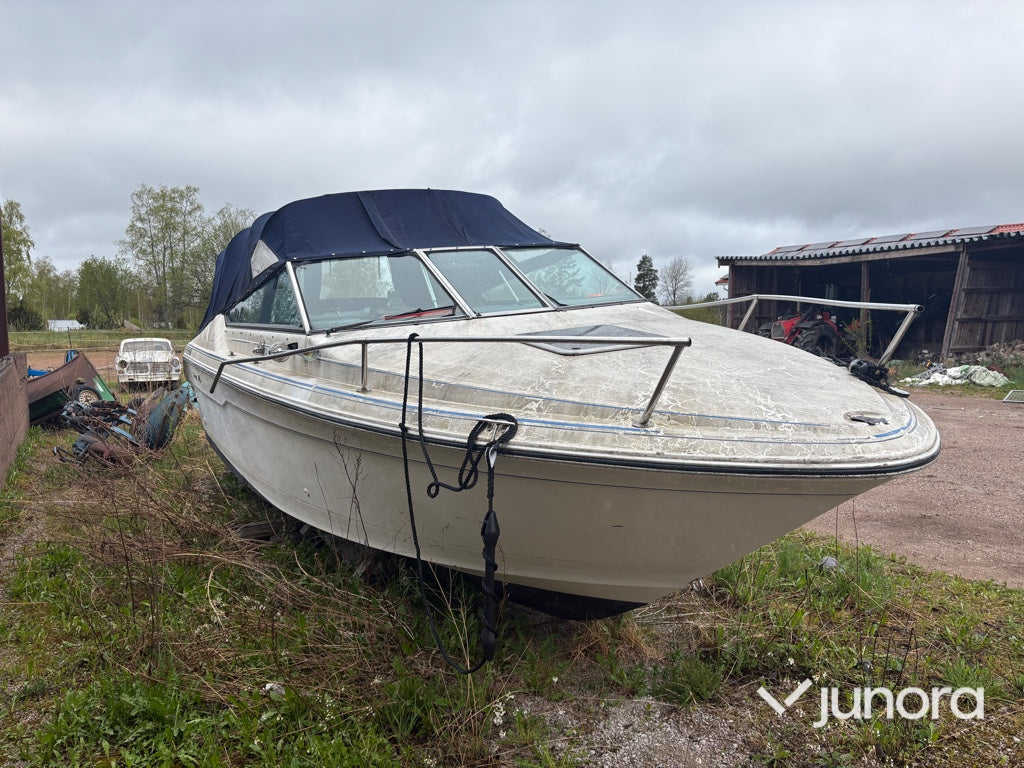 Motorbåt - Sea Ray, 220