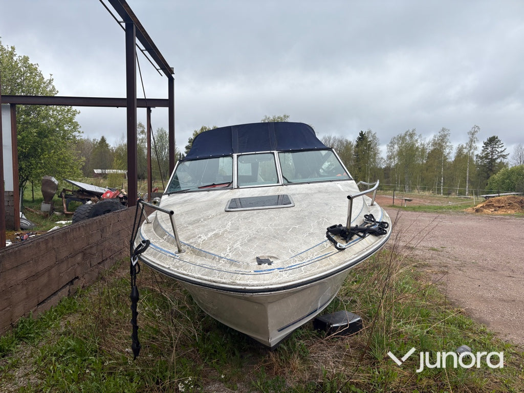 Motorbåt - Sea Ray, 220