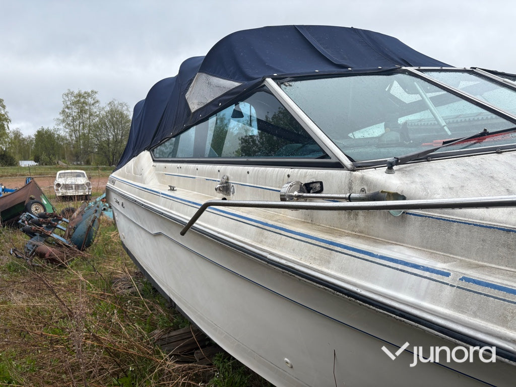 Motorbåt - Sea Ray, 220