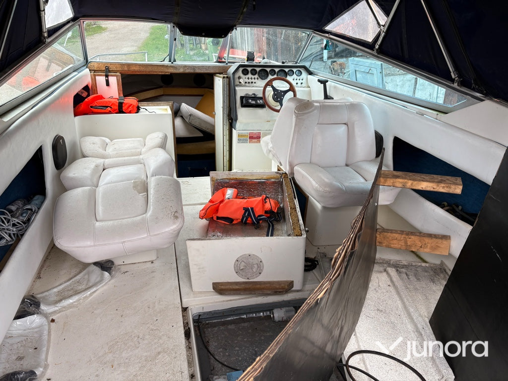 Motorbåt - Sea Ray, 220