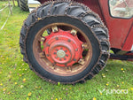 Massey Ferguson 165