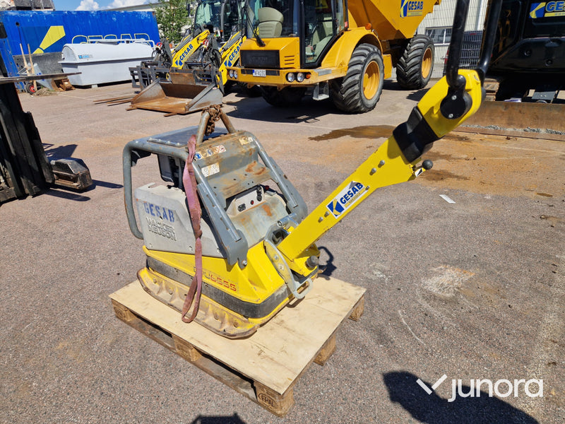 Markvibrator Wacker Neuson DPU 6555