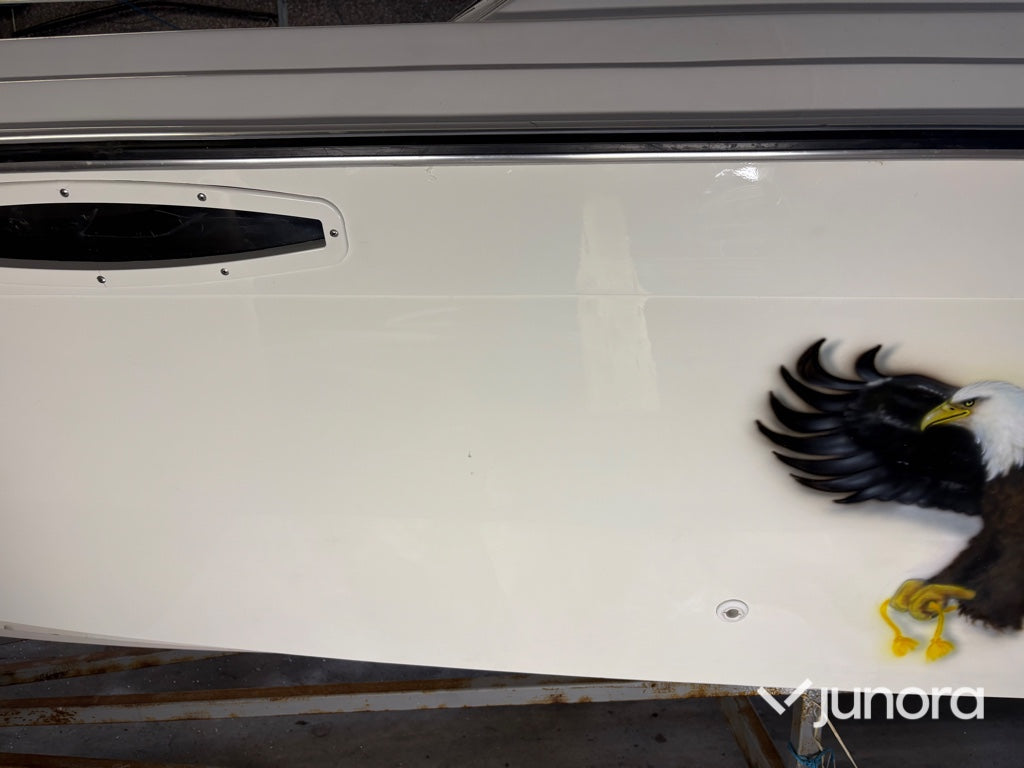 Motorbåt Chris Craft Stinger 260