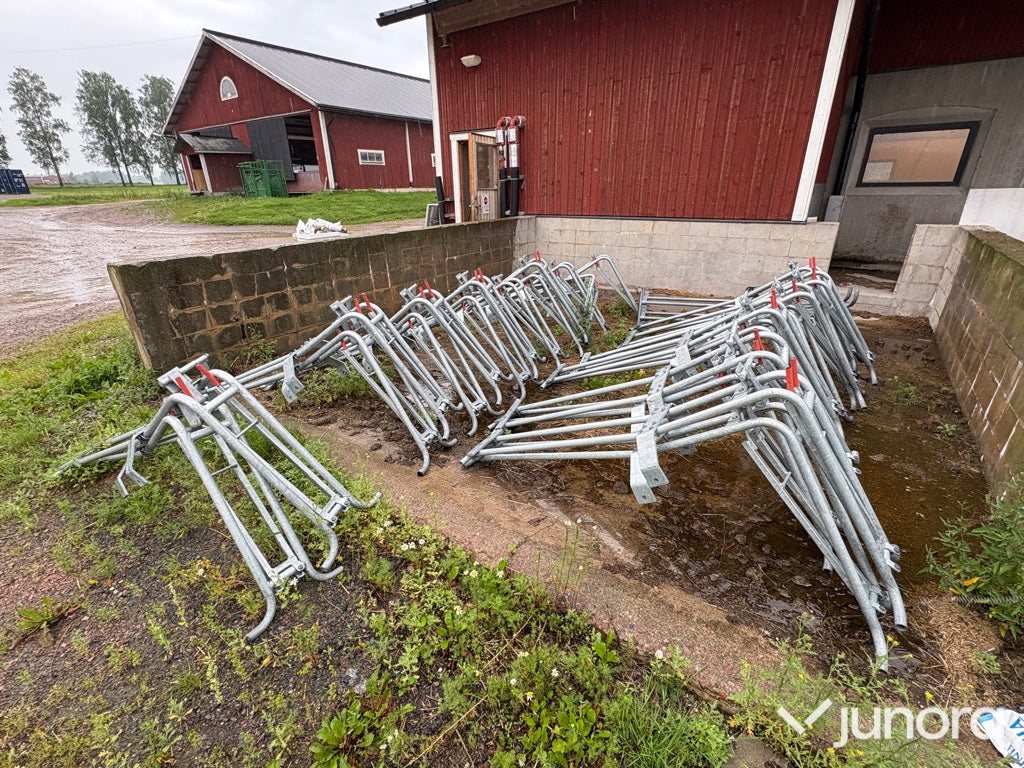 Suggbås Dan Egtved