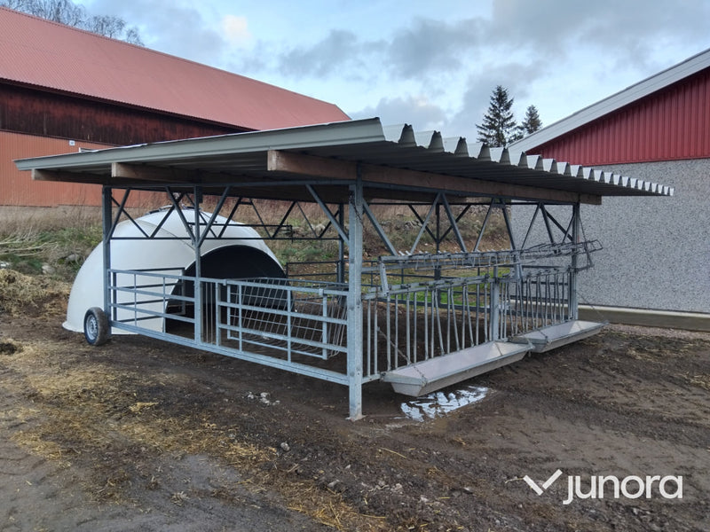 Kalvigloo med veranda – upp till 14 kalvar