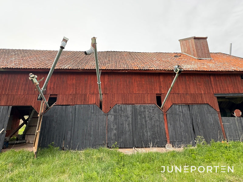 6 stycken Kongskilde tork