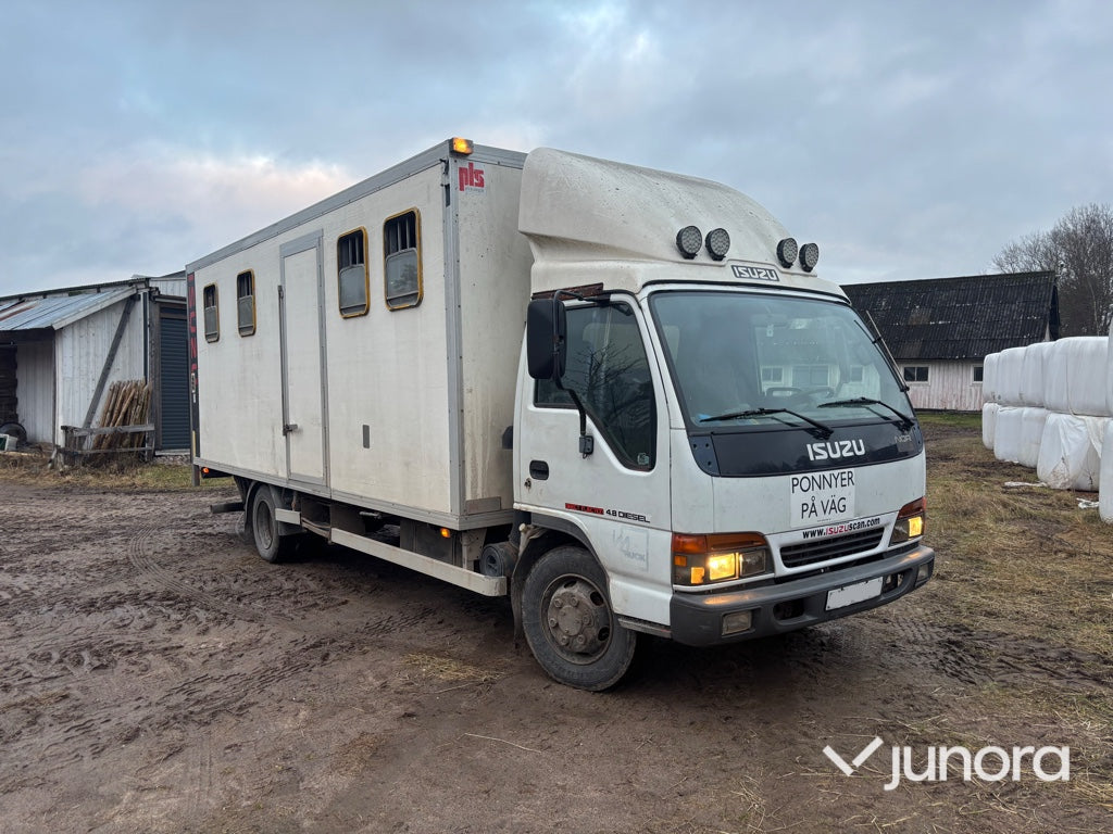 Hästlastbil - Isuzu, NQR70T