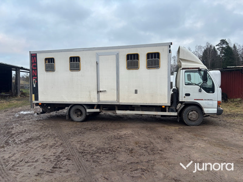 Hästlastbil - Isuzu, NQR70T